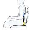OBUSFROME S curve support multi-shift chair multi shift chair ergonomic chair 911 chair intensive use chair 9-1-1 911Plus 911 centers 9-1-1 centers dispatch centers ALI ANI public safety Neutral Posture Grahl Herman Miller Steelcase Global Aeron concorde concord obusforme Chiropractic back pain lumbar support gravity plus adjustable ergonomic chair